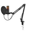 KRUX Edis 3000 Microphone <b style="color:#BE0000;">Dostawa: 27/10/2026</b>
