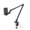 KRUX Epic 1000 Microphone